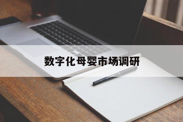 长春市数字化母婴市场调研(数字化母婴市场调研报告)